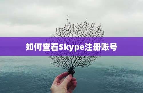 如何查看Skype注册账号