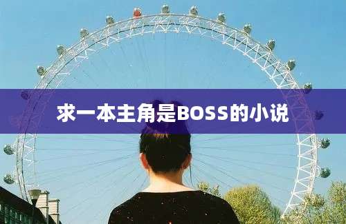 求一本主角是BOSS的小说