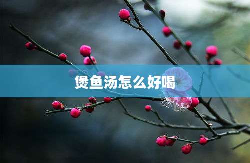 煲鱼汤怎么好喝