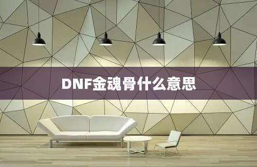 DNF金魂骨什么意思