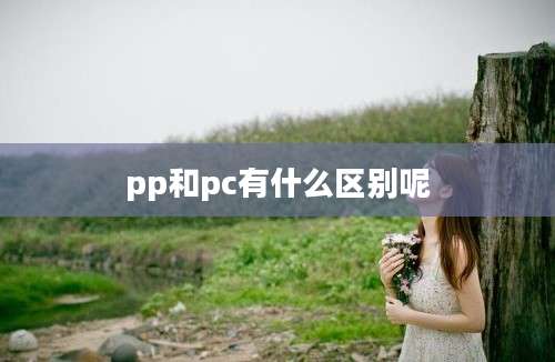 pp和pc有什么区别呢