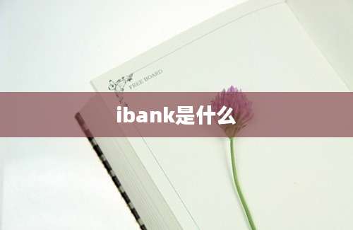 ibank是什么