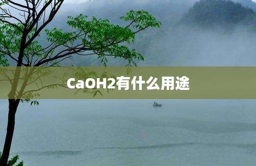 CaOH2有什么用途