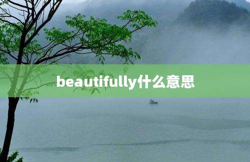 beautifully什么意思