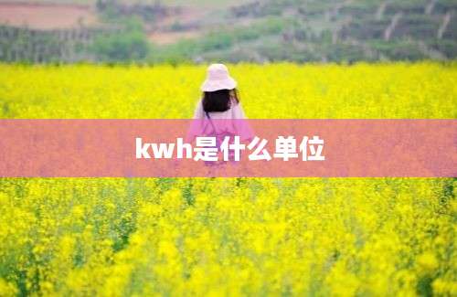 kwh是什么单位