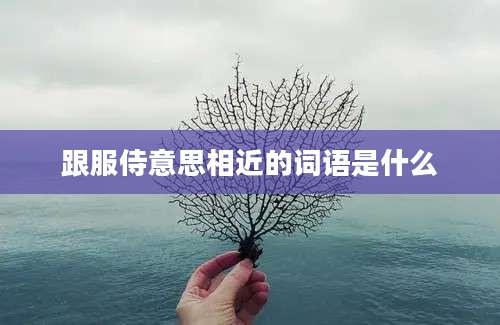 跟服侍意思相近的词语是什么