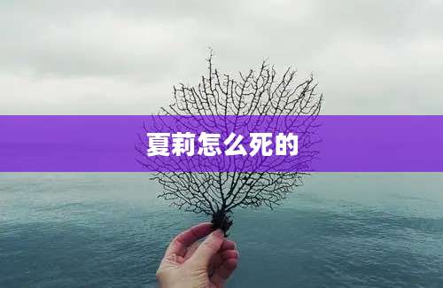 夏莉怎么死的