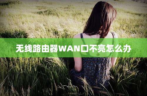 无线路由器WAN口不亮怎么办