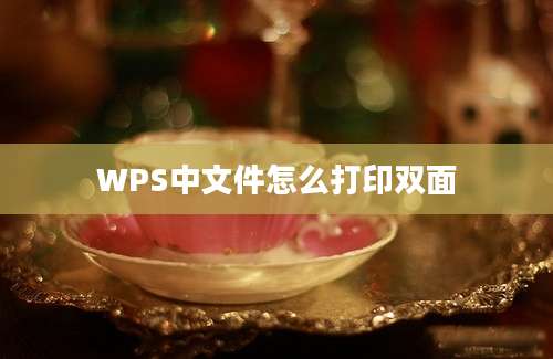 WPS中文件怎么打印双面