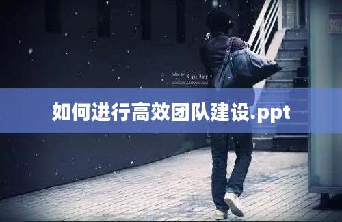 如何进行高效团队建设.ppt