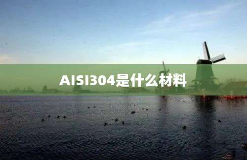 AISI304是什么材料