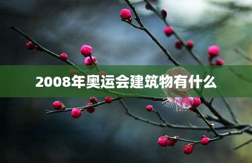 2008年奥运会建筑物有什么