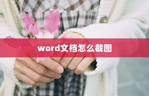 word文档怎么截图