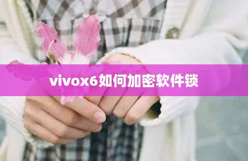 vivox6如何加密软件锁