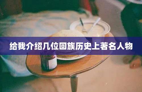 给我介绍几位回族历史上著名人物