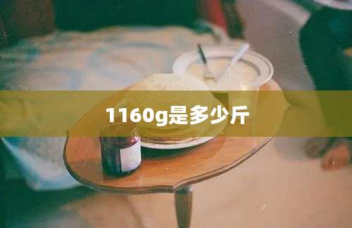 1160g是多少斤