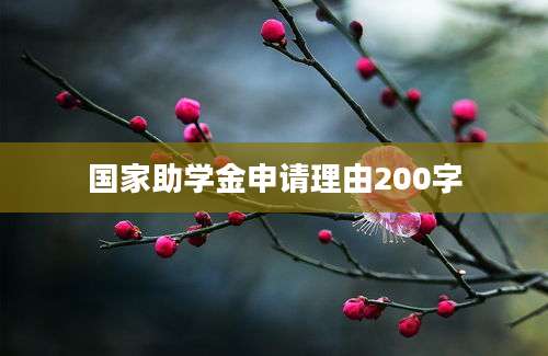 国家助学金申请理由200字