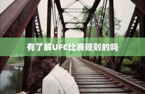 有了解UFC比赛规则的吗