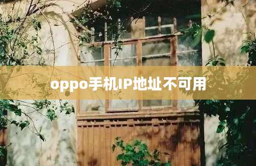 oppo手机IP地址不可用