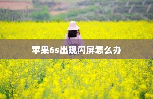 苹果6s出现闪屏怎么办