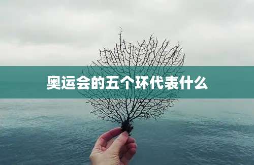 奥运会的五个环代表什么