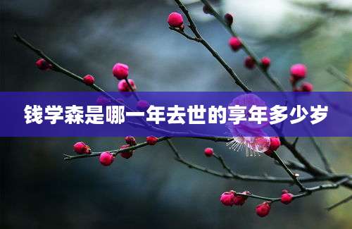 钱学森是哪一年去世的享年多少岁