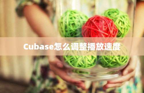 Cubase怎么调整播放速度