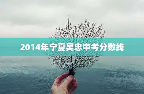 2014年宁夏吴忠中考分数线