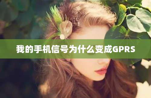 我的手机信号为什么变成GPRS