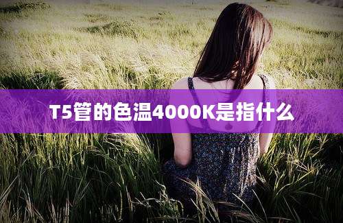 T5管的色温4000K是指什么