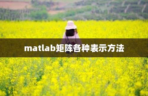 matlab矩阵各种表示方法