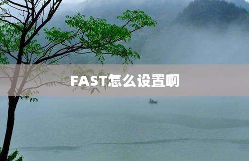 FAST怎么设置啊