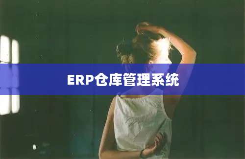 ERP仓库管理系统