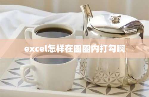 excel怎样在圆圈内打勾啊