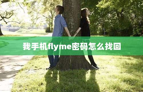 我手机flyme密码怎么找回