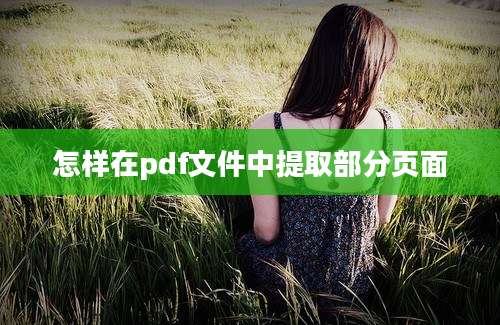 怎样在pdf文件中提取部分页面