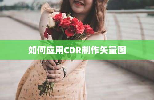 如何应用CDR制作矢量图